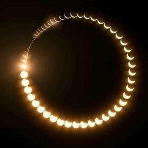 Meet your Posher, Sasha